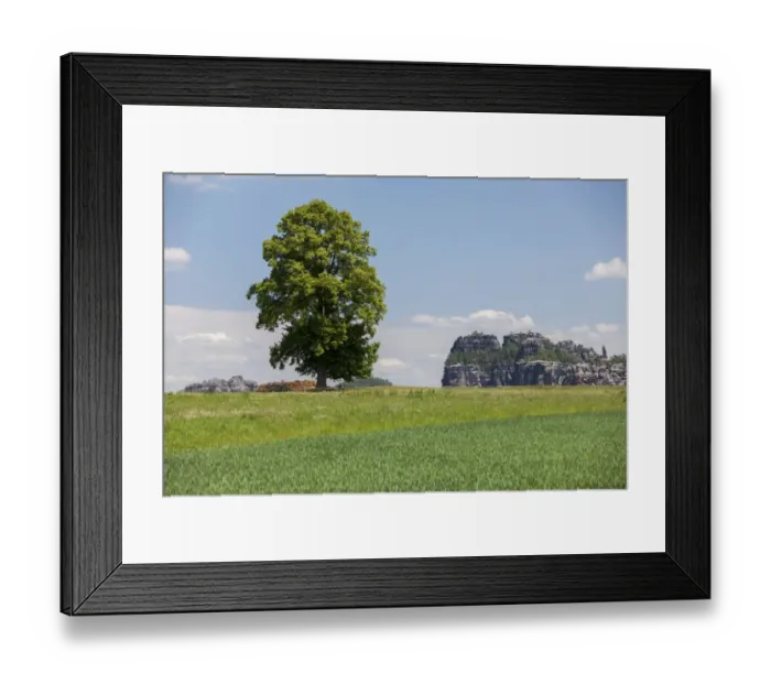 Framed Print : Landscape with a tree near the Schrammsteine rock group, Elbe Sandstone Mountains, Saxony, Germany, Europe Framed Print : Landscape with a tree near the Schrammsteine rock group, Elbe Sandstone Mountains, Saxony, Germany, Europe
