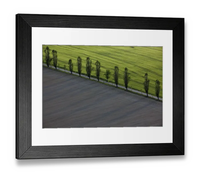 Framed Print : Tree-lined road in the Elbe Sandstone Mountains, Saxony, Germany, Europe Framed Print : Tree-lined road in the Elbe Sandstone Mountains, Saxony, Germany, Europe
