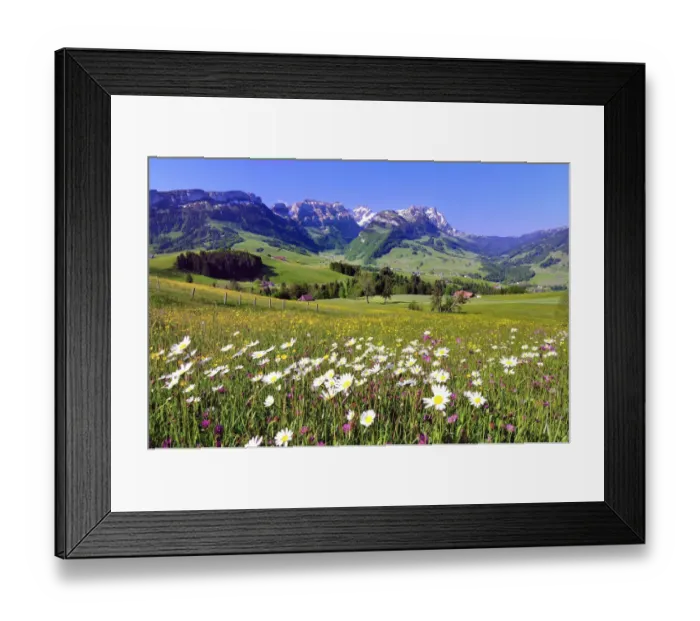 Framed Print : Flower meadow in the Appenzell region, with views of the Alpstein massif with Mt Santis and Mt Altmann, Canton of Appenzell Innerrhoden, Appenzell, Switzerland Framed Print : Flower meadow in the Appenzell region, with views of the Alpstein massif with Mt Santis and Mt Altmann, Canton of Appenzell Innerrhoden, Appenzell, Switzerland