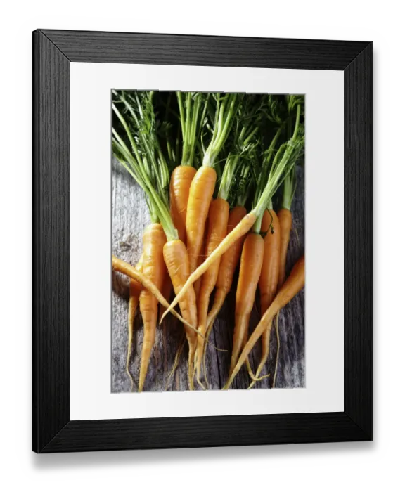 Framed Print : Fresh carrots, carrots in a colander on rustic wood Framed Print : Fresh carrots, carrots in a colander on rustic wood
