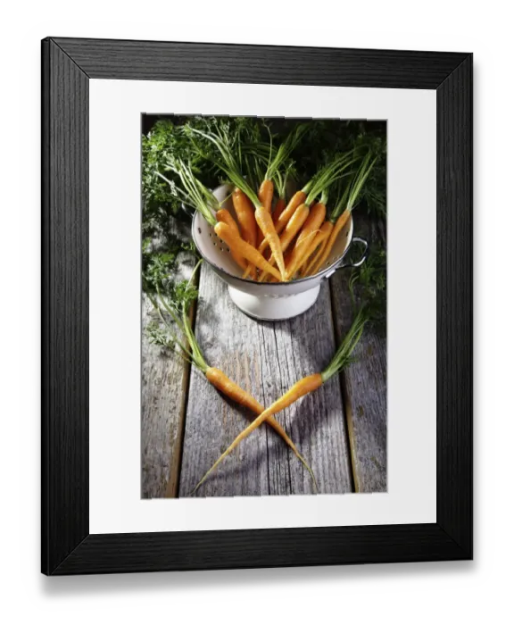 Framed Print : Fresh carrots, carrots in a colander on rustic wood Framed Print : Fresh carrots, carrots in a colander on rustic wood