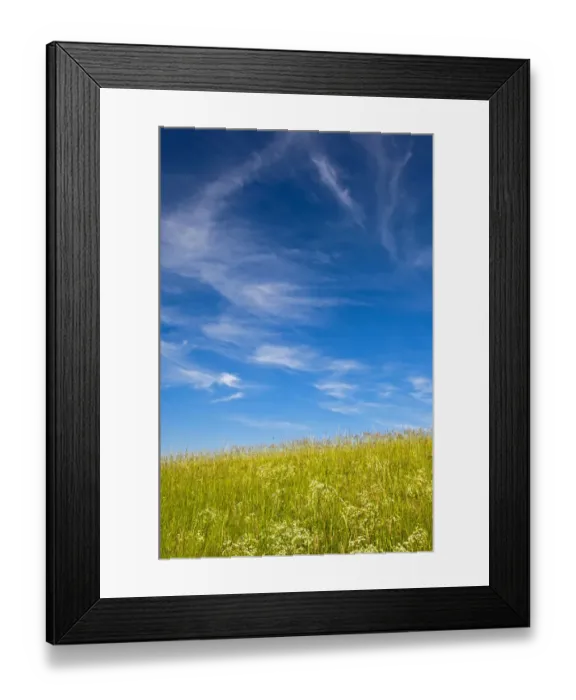 Framed Print : Blue sky with cirrus clouds above a summer meadow, Baden-Wurttemberg, Germany Framed Print : Blue sky with cirrus clouds above a summer meadow, Baden-Wurttemberg, Germany