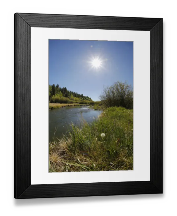 Framed Print : Mountain stream near Brian Head, Utah, USA Framed Print : Mountain stream near Brian Head, Utah, USA