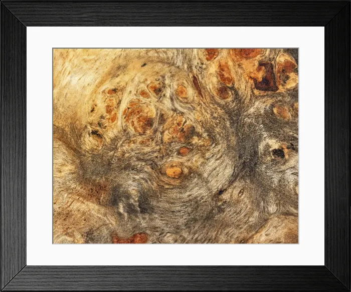Framed Print : Root wood, detail view, little old box Framed Print : Root wood, detail view, little old box