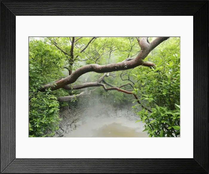 Framed Print : Hot mud springs, Rincon de la Vieja National Park, Guanacaste, Costa Rica, South America Framed Print : Hot mud springs, Rincon de la Vieja National Park, Guanacaste, Costa Rica, South America