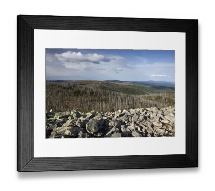 Framed Print : Forest dieback on Mt Lusen, Bavarian Forest, Bavaria, Germany, Europe
