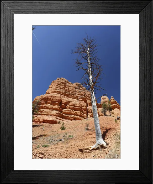 Framed Print : Red Canyon of the Clarion Formation, sandstone rocks in Utah, USA Framed Print : Red Canyon of the Clarion Formation, sandstone rocks in Utah, USA