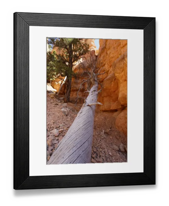 Framed Print : Red Canyon of the Clarion Formation, sandstone rocks in Utah, USA Framed Print : Red Canyon of the Clarion Formation, sandstone rocks in Utah, USA