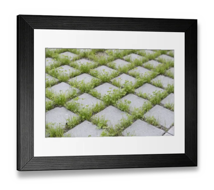 Framed Print : Eco-friendly paving of a parking lot with clover and grass, Germany Framed Print : Eco-friendly paving of a parking lot with clover and grass, Germany