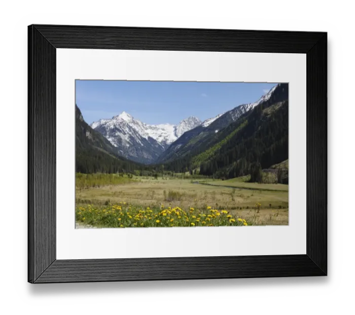 Framed Print : Tettermoos in Untertal valley, Soelktaeler Nature Park, Schladming Tauern mountains, Upper Styria, Styria, Austria, Europe