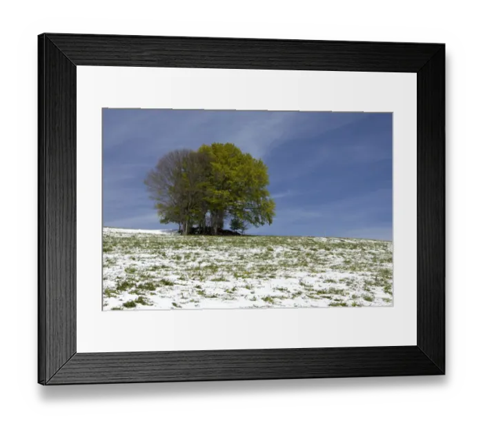 Framed Print : Spring meadow with snow near St. Peter, Black Forest, Baden-Wuerttemberg, Germany, Europe Framed Print : Spring meadow with snow near St. Peter, Black Forest, Baden-Wuerttemberg, Germany, Europe