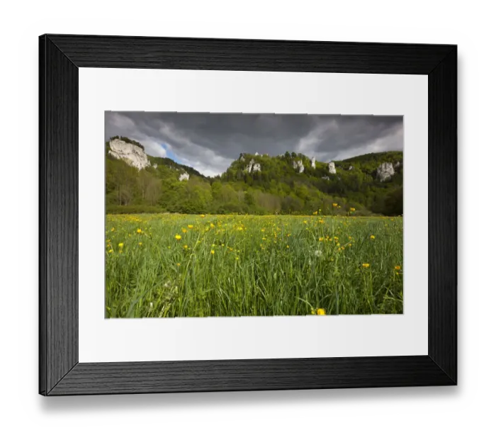 Framed Print : View from the Danube Valley to Burg Wildenstein Castle with rocks, Baden-Wuerttemberg, Germany, Europe Framed Print : View from the Danube Valley to Burg Wildenstein Castle with rocks, Baden-Wuerttemberg, Germany, Europe