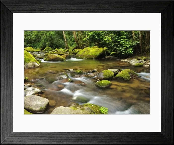 Framed Print : Rio Savegre, San Gerardo de Dota, Costa Rica, Central America Framed Print : Rio Savegre, San Gerardo de Dota, Costa Rica, Central America