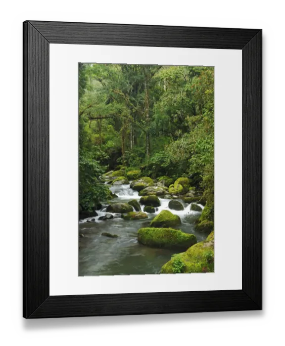 Framed Print : Rio Savegre, San Gerardo de Dota Costa Rica, Central America Framed Print : Rio Savegre, San Gerardo de Dota Costa Rica, Central America