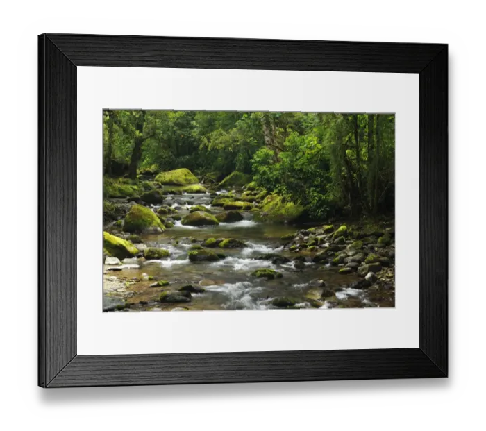 Framed Print : Rio Savegre, San Gerardo de Dota Costa Rica, Central America Framed Print : Rio Savegre, San Gerardo de Dota Costa Rica, Central America