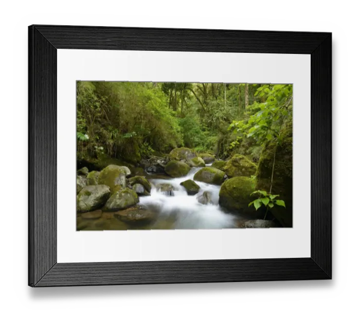 Framed Print : River head of the Rio Savegre river, San Gerardo de Dota, Costa Rica, Central America Framed Print : River head of the Rio Savegre river, San Gerardo de Dota, Costa Rica, Central America