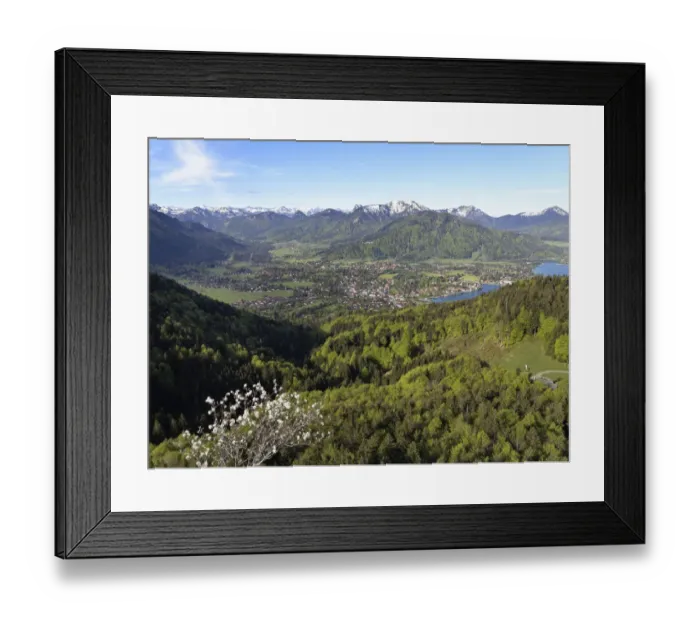 Framed Print : Rottach-Egern and lake Tegernsee, Tegernsee valley, view as seen from Riederstein mountain, Mangfall Mountains, Upper Bavaria, Bavaria, Germany, Europe Framed Print : Rottach-Egern and lake Tegernsee, Tegernsee valley, view as seen from Riederstein mountain, Mangfall Mountains, Upper Bavaria, Bavaria, Germany, Europe