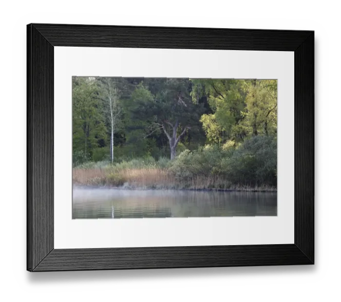 Framed Print : Lake Starnberg, natural shore at St. Heinrich, municipality of Muensing, Five-Lakes region, Upper Bavaria, Bavaria, Germany, Europe Framed Print : Lake Starnberg, natural shore at St. Heinrich, municipality of Muensing, Five-Lakes region, Upper Bavaria, Bavaria, Germany, Europe