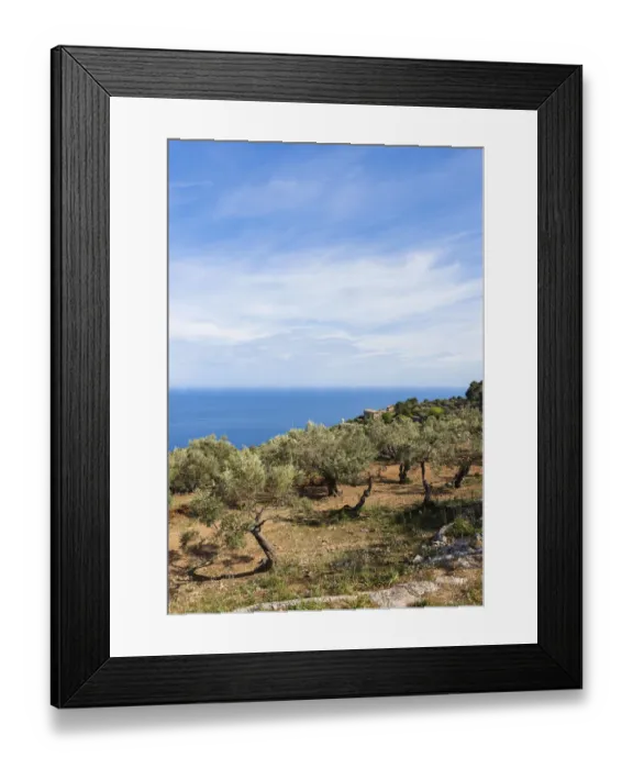 Framed Print : Old olive trees near Deia, Son Marroig mansion at back, Serra de Tramuntana, Northwest Coast, Mallorca, Majorca, Balearic Islands, Mediterranean Sea, Spain, Europe Framed Print : Old olive trees near Deia, Son Marroig mansion at back, Serra de Tramuntana, Northwest Coast, Mallorca, Majorca, Balearic Islands, Mediterranean Sea, Spain, Europe