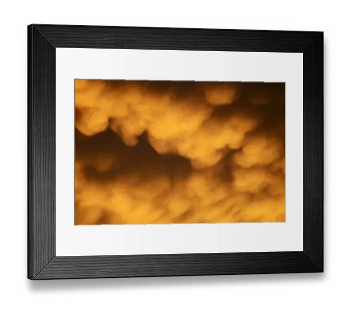 Framed Print : Mammary or breast clouds -Cumulonimbus mamma- of a disintegrating thunderstorm in the evening light Framed Print : Mammary or breast clouds -Cumulonimbus mamma- of a disintegrating thunderstorm in the evening light