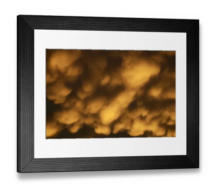 Framed Print : Mammary or breast clouds -Cumulonimbus mamma- of a disintegrating thunderstorm in the evening light Framed Print : Mammary or breast clouds -Cumulonimbus mamma- of a disintegrating thunderstorm in the evening light