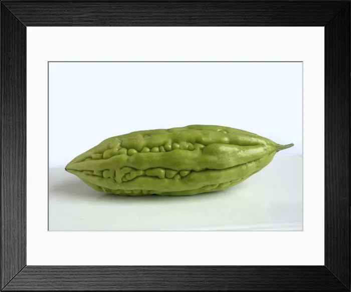 Framed Print : Bitter cucumber Framed Print : Bitter cucumber