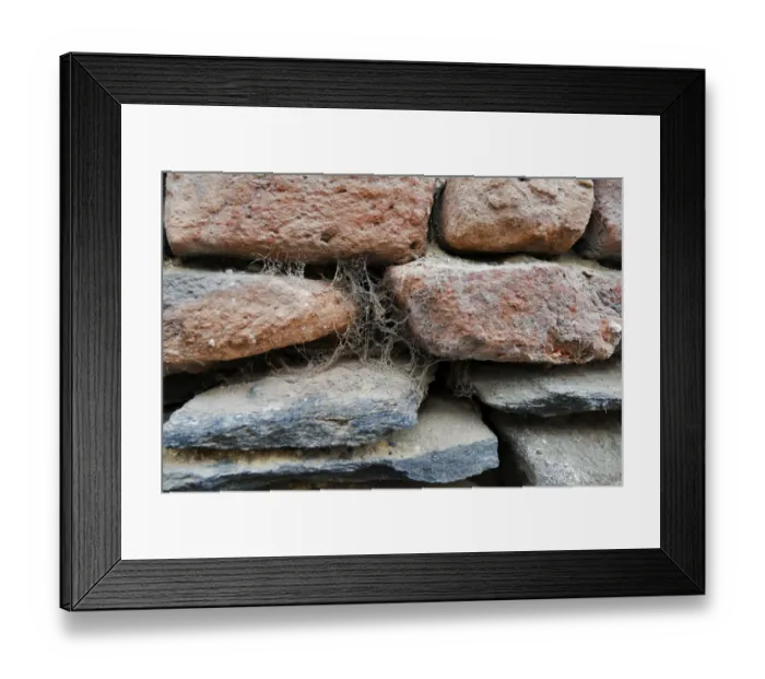 Framed Print : Cobwebs on a stone wall Framed Print : Cobwebs on a stone wall