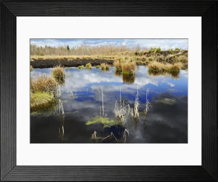 Framed Print : Cloud reflections at a blackwater peat bog in a flooded peat cutting area, Stammbeckenmoor near Raubling, Alpine Uplands, Bavaria, Germany, Europe