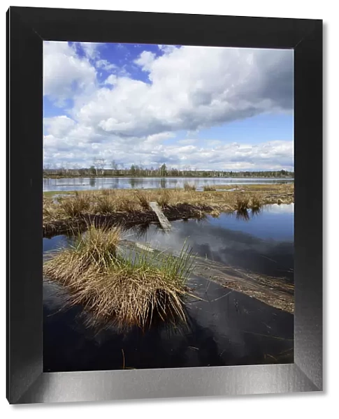 Abandoned peat cutting area with reflection of clouds, Stammbeckenmoor near Raubling, Alpine Uplands, Bavaria, Germany, Europe