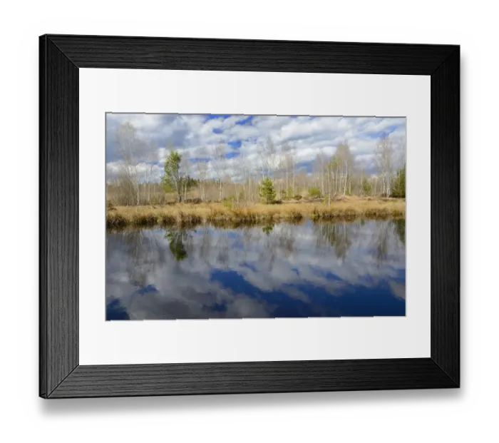 Framed Print : Cloud reflections in a flooded peat cutting area, Stammbeckenmoor near Raubling, Alpine Uplands, Bavaria, Germany, Europe Framed Print : Cloud reflections in a flooded peat cutting area, Stammbeckenmoor near Raubling, Alpine Uplands, Bavaria, Germany, Europe