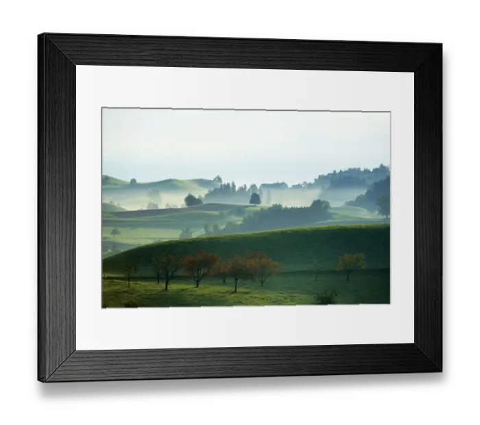 Framed Print : Cherry trees in autumn, morainic landscape, Hirzel area, Zurich, Switzerland, Europe Framed Print : Cherry trees in autumn, morainic landscape, Hirzel area, Zurich, Switzerland, Europe