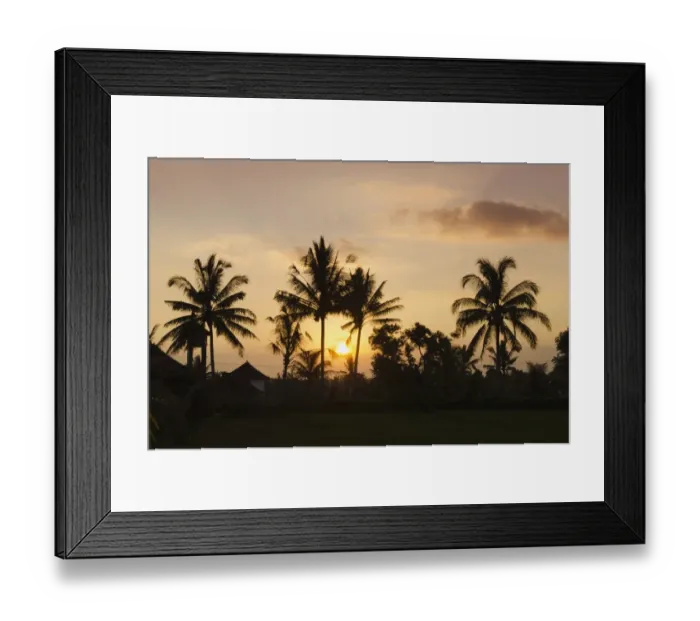 Framed Print : Sunset behind coconut trees, Ubud, Bali, Indonesia Framed Print : Sunset behind coconut trees, Ubud, Bali, Indonesia