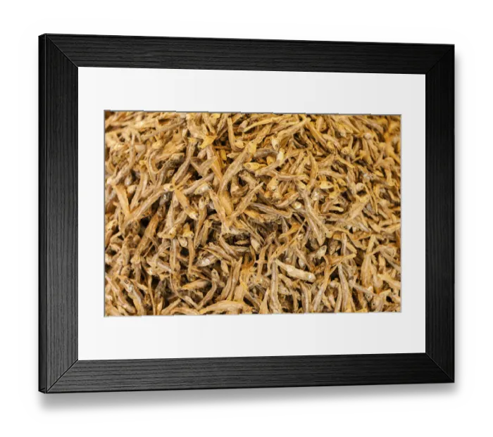 Framed Print : Dried Sardines or Pilchards -Sardina pilchardus-