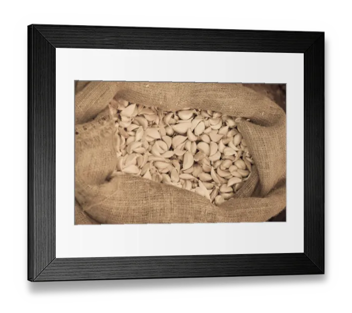Framed Print : Garlic -Allium sativum- in a jute bag Framed Print : Garlic -Allium sativum- in a jute bag