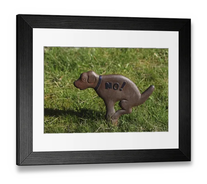 Framed Print : Prohibition sign no to dog waste on lawns Framed Print : Prohibition sign no to dog waste on lawns