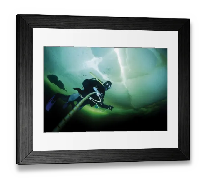 Framed Print : Diver under ice, White Sea, Russia Framed Print : Diver under ice, White Sea, Russia