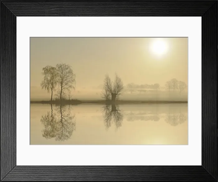 Framed Print : Morning mood at a lake at sunrise, near Tangstedt, Schleswig-Holstein, Germany, Europe Framed Print : Morning mood at a lake at sunrise, near Tangstedt, Schleswig-Holstein, Germany, Europe