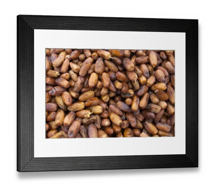 Framed Print : Dates Framed Print : Dates