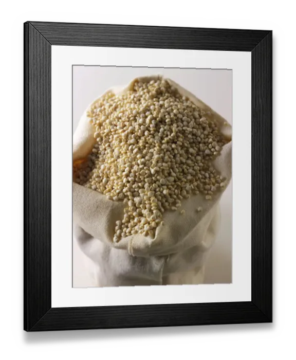 Framed Print : Quinoa grains Framed Print : Quinoa grains