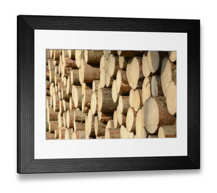 Framed Print : Stack of freshly cut spruce logs, Raubling, Bavaria, Germany Framed Print : Stack of freshly cut spruce logs, Raubling, Bavaria, Germany
