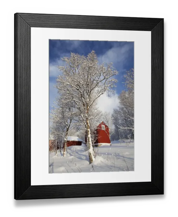 Framed Print : Red wooden house in winter, Tromso, Norway, Europe
