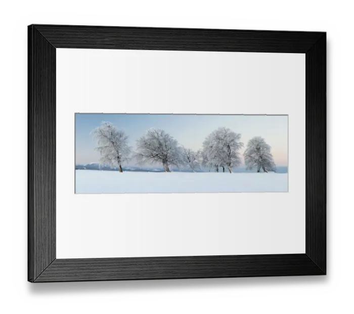 Framed Print : Wind-shaped beeches in the morning light with fresh snow on Mt Schauinsland near Freiburg in the Black Forest, Baden-Wuerttemberg, Germany, Europe, PublicGround