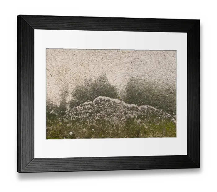 Framed Print : Texture, plastered wall Framed Print : Texture, plastered wall