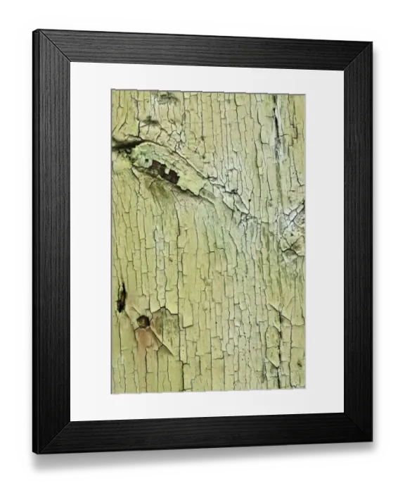 Framed Print : Texture, wood with flaking paint Framed Print : Texture, wood with flaking paint