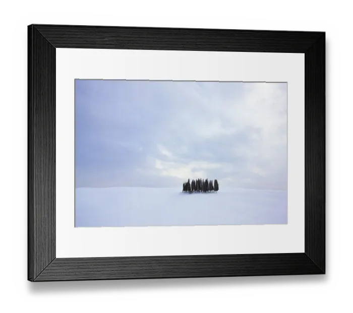 Framed Print : Group of cypress trees -Cupressus- in the snow, San Quirico dOrcia, Tuscany, Italy, Europe