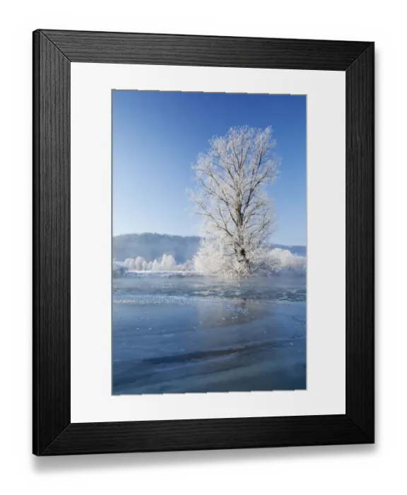 Framed Print : Altmuehl river near Kottingwoerth in winter, Altmuehltal valley, Bavaria, Germany, Europe