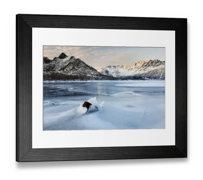 Framed Print : Frozen fjord in winter, Lofoten, Norway Framed Print : Frozen fjord in winter, Lofoten, Norway