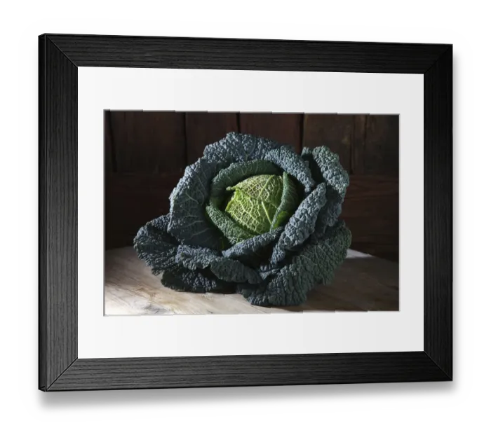 Framed Print : Savoy cabbage -Brassica oleracea convar. Capitata var. sabauda L. -, on a rustic wooden surface Framed Print : Savoy cabbage -Brassica oleracea convar. Capitata var. sabauda L. -, on a rustic wooden surface