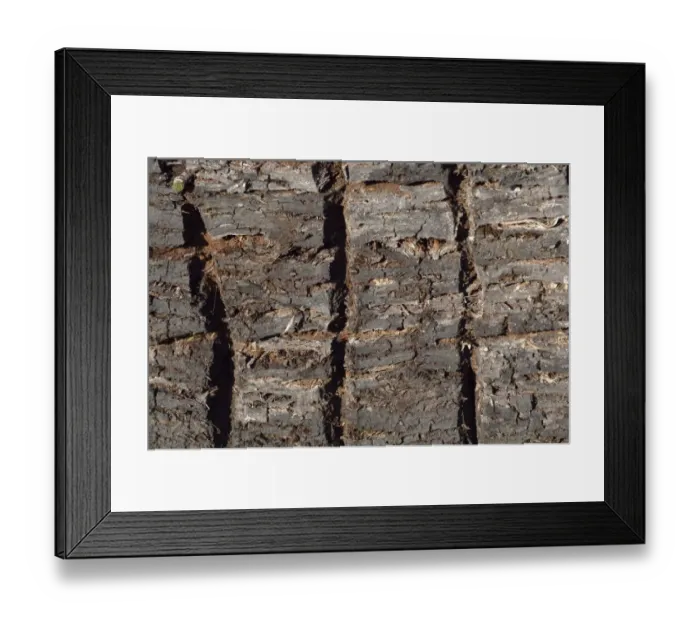 Framed Print : Peat cuttings with broaching marks, stacks of peat, Stammbeckenmoor near Raubling, Alpine Uplands, Bavaria, Germany, Europe Framed Print : Peat cuttings with broaching marks, stacks of peat, Stammbeckenmoor near Raubling, Alpine Uplands, Bavaria, Germany, Europe