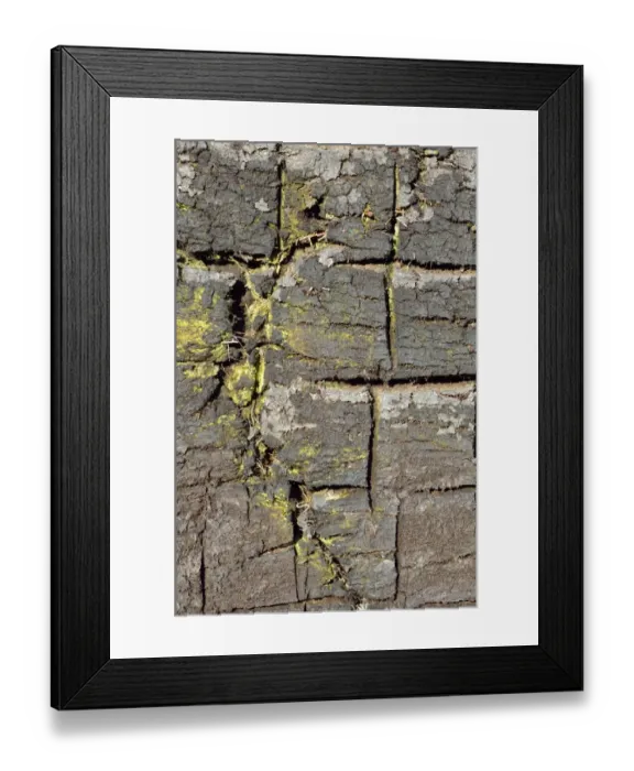 Framed Print : Peat cuttings with broaching marks, stacks of peat, Stammbeckenmoor near Raubling, Alpine Uplands, Bavaria, Germany, Europe Framed Print : Peat cuttings with broaching marks, stacks of peat, Stammbeckenmoor near Raubling, Alpine Uplands, Bavaria, Germany, Europe